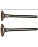 Valvula admision Shibaura NT844 TW, Perkins