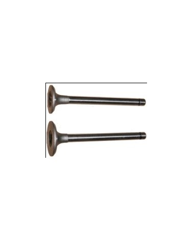 Valvula admision Yanmar 3TN72 TW