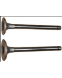Neumático Tubeless (CASTEL-GARDEN, HUSQVARNA) 55-5333