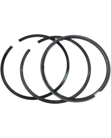 Segmentos 76,50mm STD Kubota  D1005