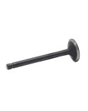 Cable acelerador 55-4469