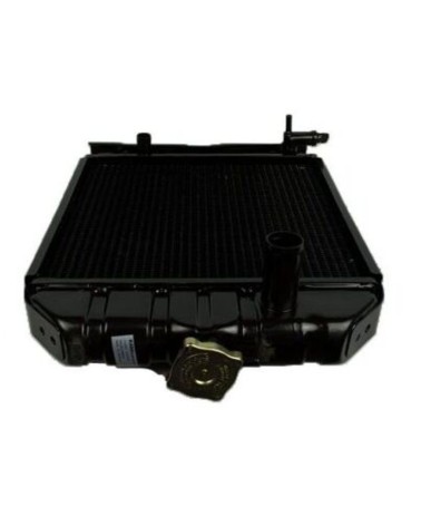 Radiador Iseki TS1610, TS1910, TS2202, TS2210, TS2220