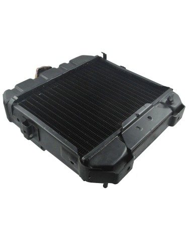 Radiador Iseki TU1400, TU1500, TU1600, TX145, TX155, ΤΧ1410, ΤΧ1510, TX2140, TX2160