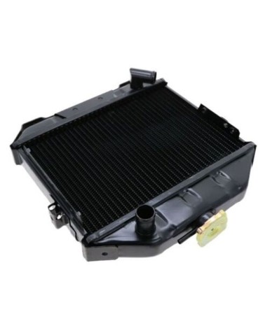 Radiador Iseki TX1000, TX1210, TX1300, TX1500