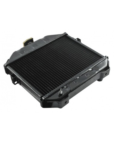 Radiador Iseki TX1000, TX1210, TX1300, TX1500