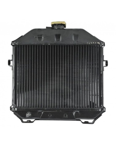 Radiador Iseki TX1000, TX1210, TX1300, TX1500