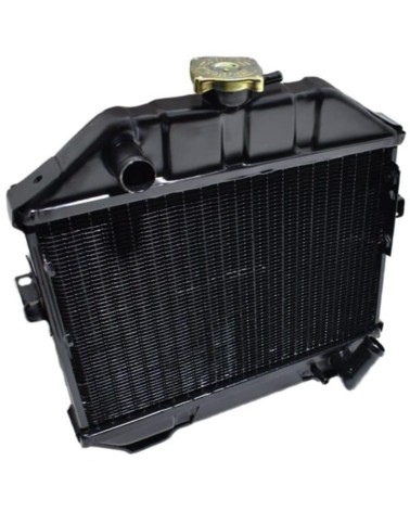 Radiador Iseki TX1300, TX1500, E269