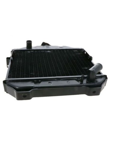 Radiador Iseki TX1300, TX1500, E269