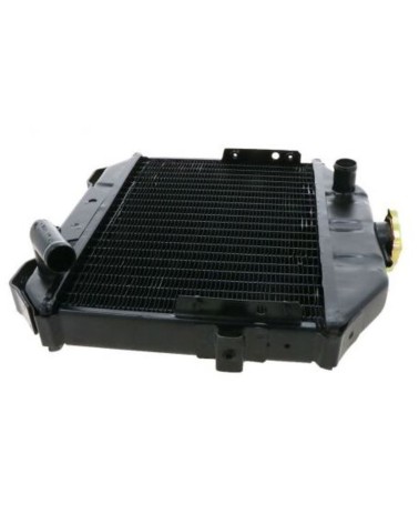 Radiador Iseki TX1300, TX1500, E269