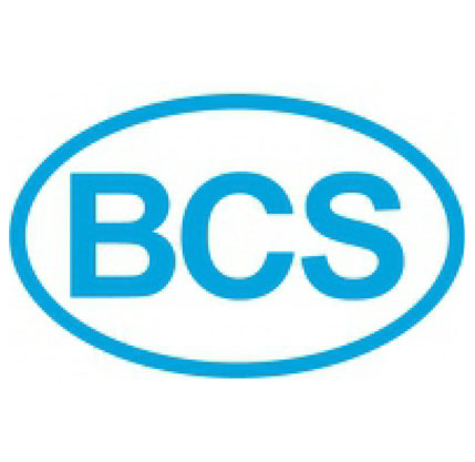 BCS